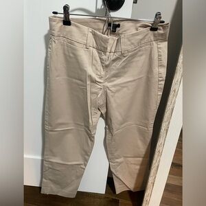 Ann Taylor Petite Pant